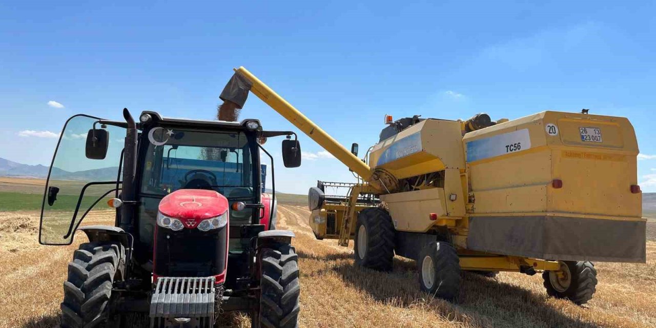 Çiftçi Dönümden 300 Kilogram Buğday Aldı