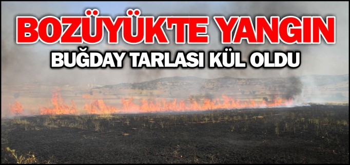 BUĞDAY TARLASI KÜL OLDU