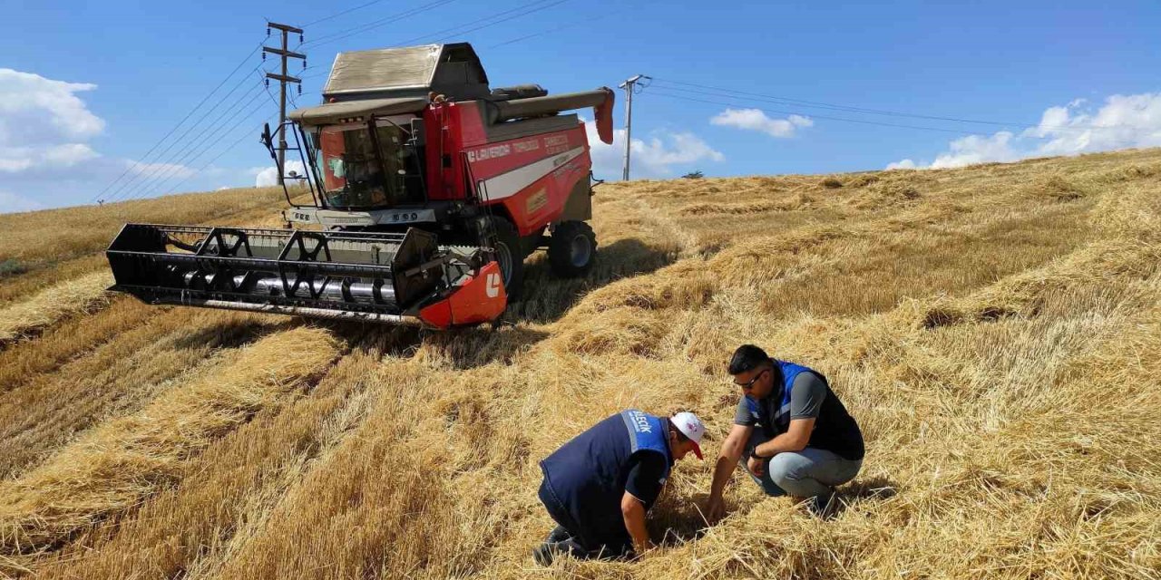 Bozüyük’te Biçerdöver Denetimi Ve Hasat Yapılan Hububat Tarlalarında Kontroller