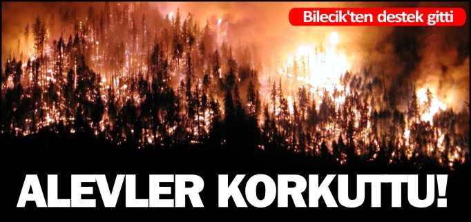ALEVLER KORKUTTU