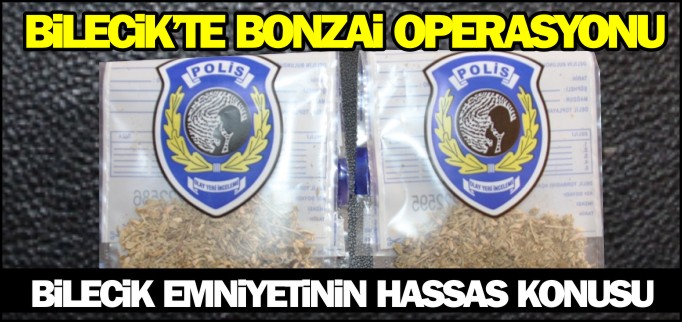 BİLECİK’TE BONZAİ OPERASYONU