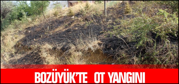 BOZÜYÜK’TE OT YANGINI