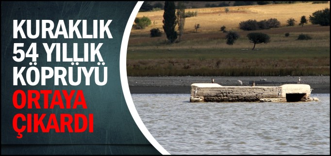 KURAKLIK 54 YILLIK KÖPRÜYÜ ORTAYA ÇIKARDI