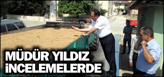 MÜDÜR YILDIZ İNCELEMELERDE