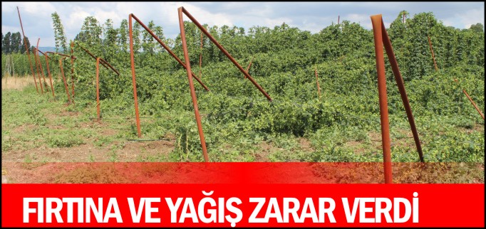 FIRTINA VE YAĞIŞ ZARAR VERDİ