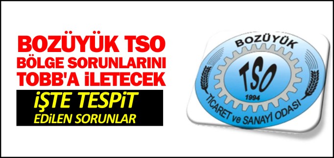 BOZÜYÜK TSO BÖLGE SORUNLARINI TOBB’A İLETECEK