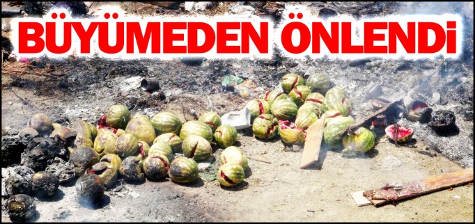 ÇÖP YANGINI BÜYÜMEDEN ÖNLENDİ