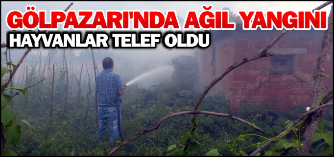 GÖLPAZARI’NDA AĞIL YANGINI