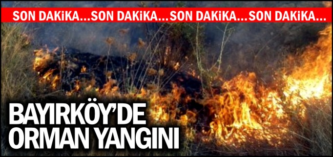 BAYIRKÖY’DE ORMAN YANGINI
