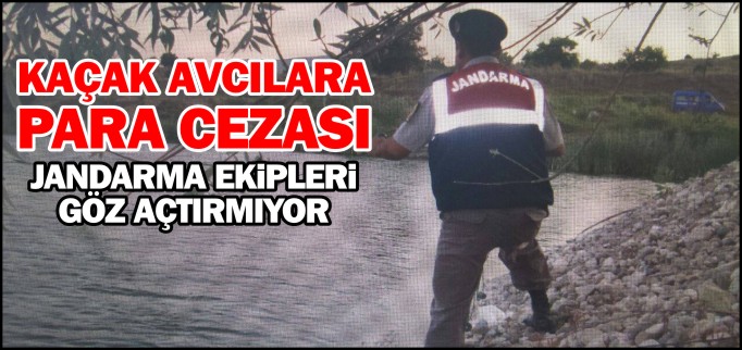 KAÇAK AVCILARA PARA CEZASI