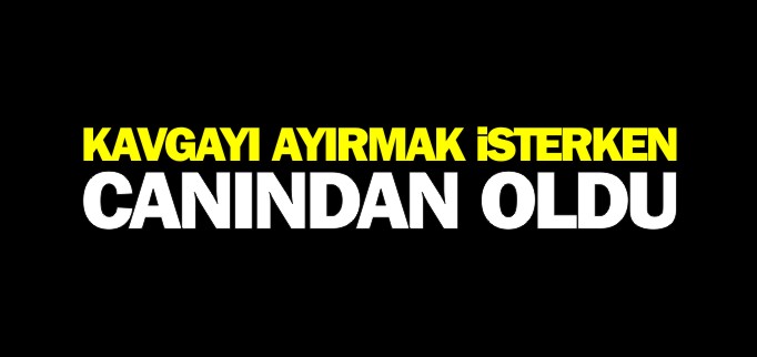 KAVGAYI AYIRMAK İSTERKEN CANINDAN OLDU