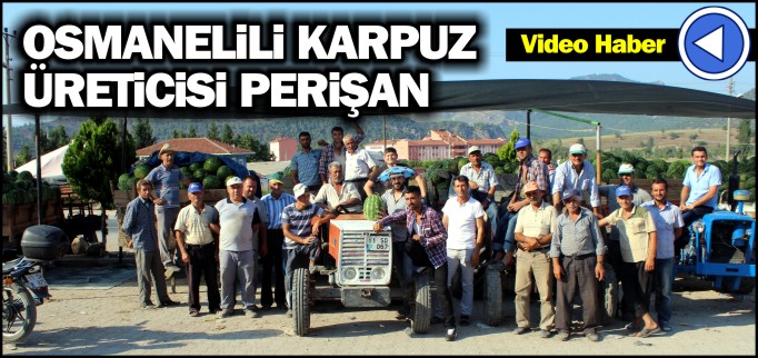 OSMANELİLİ KARPUZ ÜRETİCİSİ PERİŞAN