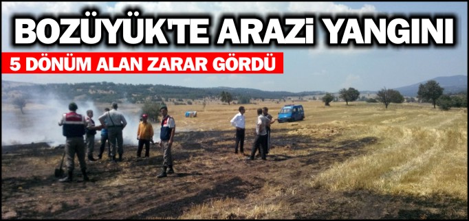 BOZÜYÜK’TE ARAZİ YANGINI