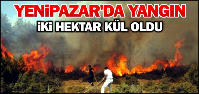 2 HEKTAR KÜL OLDU