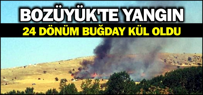 24 DÖNÜM BUĞDAY KÜL OLDU