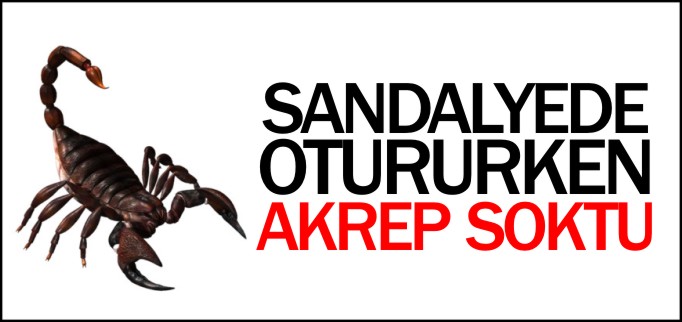 SANDALYEDE OTURURKEN AKREP SOKTU