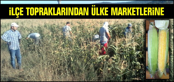 İLÇE TOPRAKLARINDAN ÜLKE MARKETLERİNE