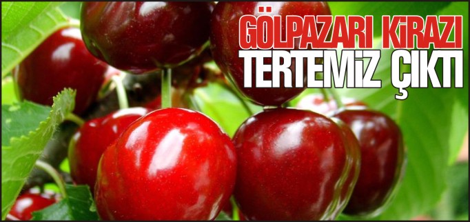 GÖLPAZARI KİRAZI TERTEMİZ ÇIKTI