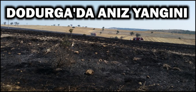 DODURGA’DA ANIZ YANGINI