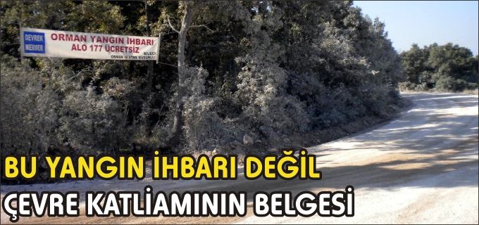 BU YANGIN İHBARI DEĞİL, ÇEVRE KATLİAMI BELGESİ