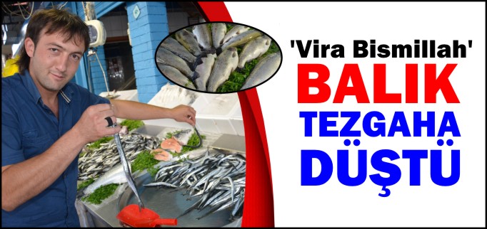 BALIK TEZGAHA DÜŞTÜ