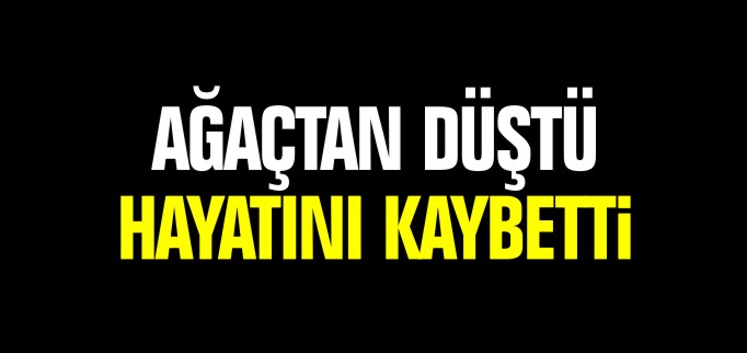 AĞAÇTAN DÜŞTÜ HAYATINI KAYBETTİ