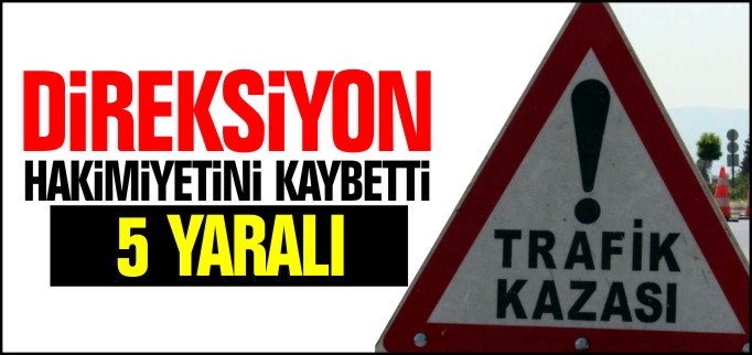 DİREKSİYON HAKİMİYETİNİ KAYBETTİ 5 YARALI