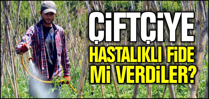 ÇİFTÇİYE HASTALIKLI FİDE Mİ VERDİLER?