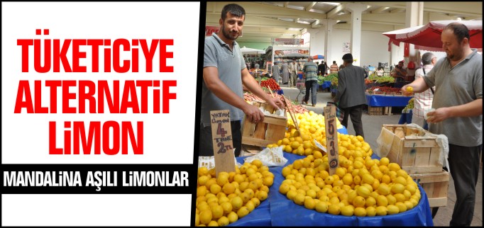TÜKETİCİYE ALTERNATİF LİMON