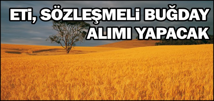 ETİ, SÖZLEŞMELİ BUĞDAY ALIMI YAPACAK