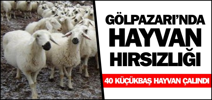 GÖLPAZARI’NDA HAYVAN HIRSIZLIĞI