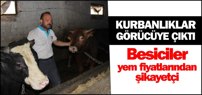 KURBANLIKLAR GÖRÜCÜYE ÇIKTI