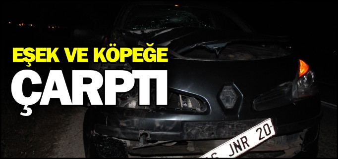 OTOMOBİL EŞEK VE KÖPEĞE ÇARPTI