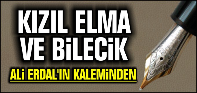KIZIL ELMA VE BİLECİK