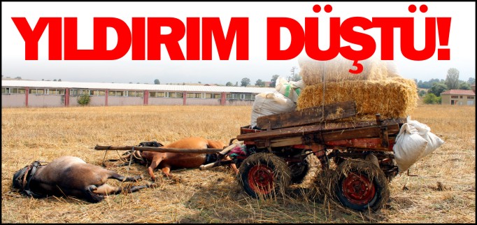 YILDIRIM DÜŞTÜ