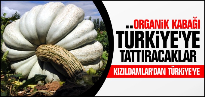 ORGANİK KABAĞI TÜRKİYE’YE TATTIRACAKLAR