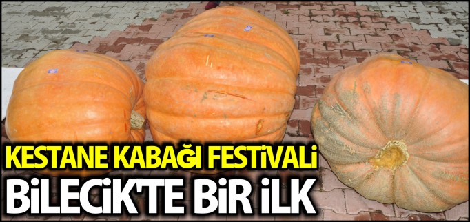 KESTANE KABAĞI FESTİVALİ YAPILDI