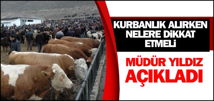 KURBANLIK ALIRKEN NELERE DİKKAT ETMELİ