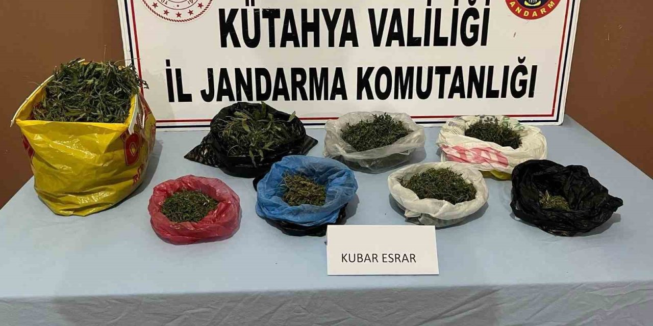 Jandarmadan Uyuşturucu Operasyonu