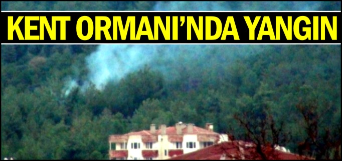 KENT ORMANI’NDA YANGIN