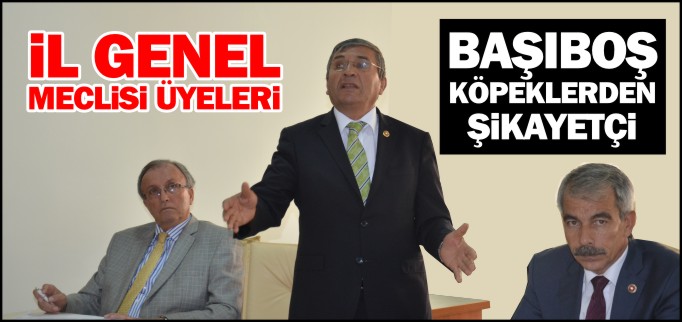MECLİS ÜYELERİ BAŞIBOŞ KÖPEKLERDEN ŞİKAYETÇİ