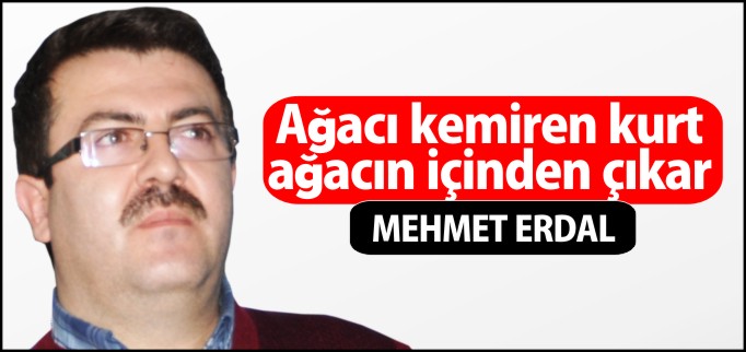 AĞACI KEMİREN KURT, AĞACIN İÇİNDEN ÇIKAR