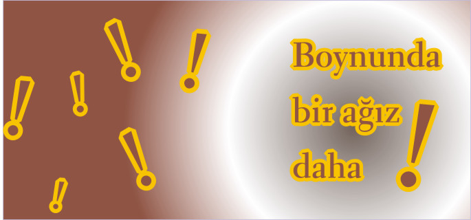 BOYNUNDA BİR AĞIZ DAHA...