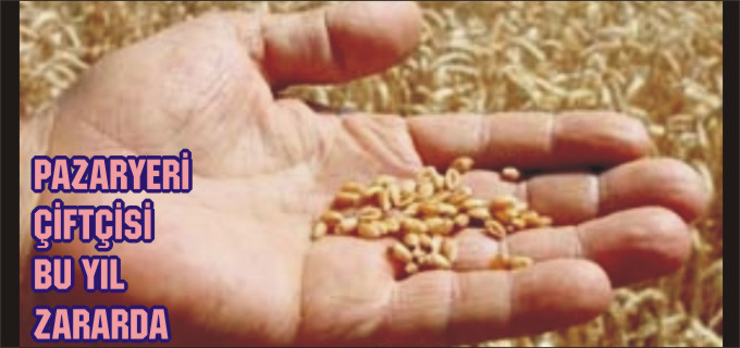PAZARYERİ ÇİFTÇİSİ BU YIL ZARARDA