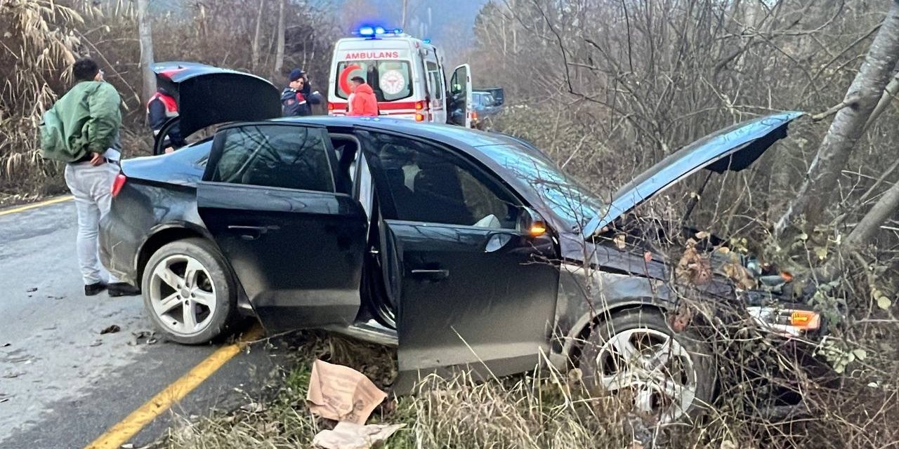Yabancı Uyruklu Şahısların İçinde Bulunduğu Otomobil Ağaca Çarptı: 1 Yaralı