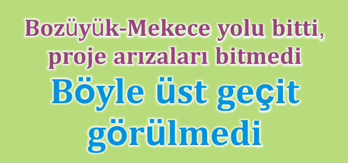 BÖYLE ÜST GEÇİT GÖRÜLMEDİ