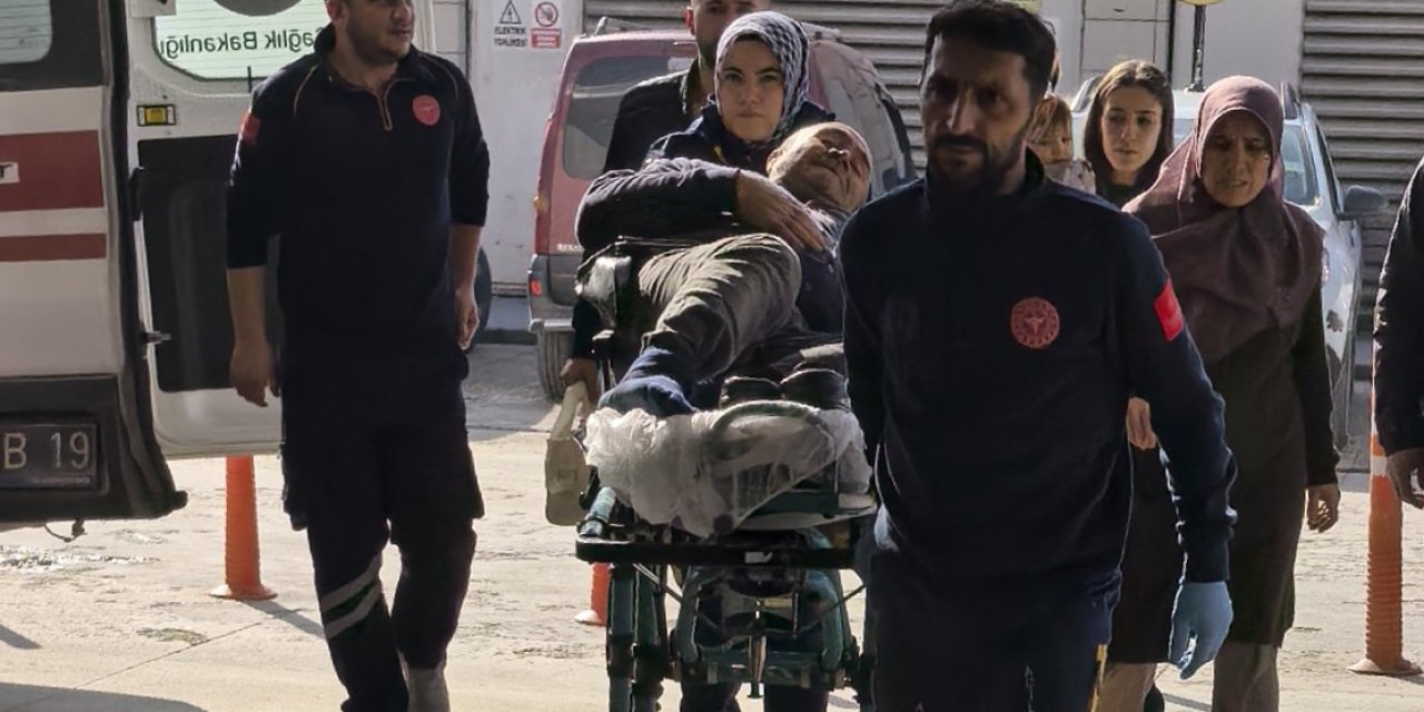 Budadığı Ağaçtan Düşen Şahıs Yaralandı