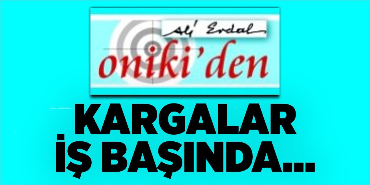 KARGALAR İŞ BAŞINDA...