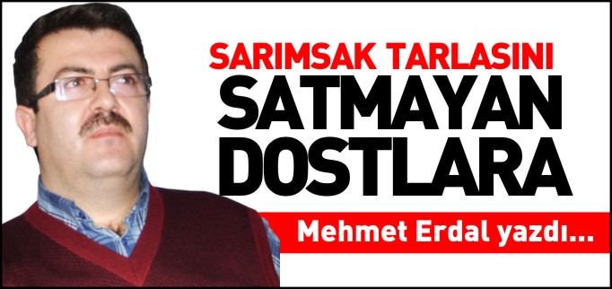SARIMSAK TARLASINI SATMAYAN DOSTLARA