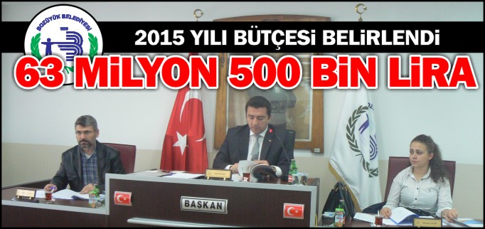 BOZÜYÜK BELEDİYESİ 2015 YILI BÜTÇESİ BELİRLENDİ